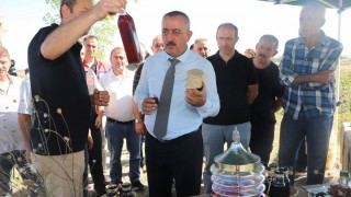 Sakarya’da Aronya Hasadı Başladı: 12 İlçede 135 Ton “Süper Meyve” Bekleniyor