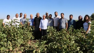 Şanlıurfa’da Büyükşehir Pamuk Tarımı Eğitim Günü Düzenledi