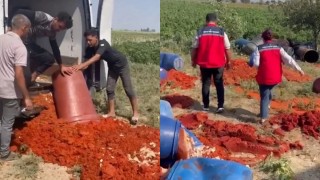 Tarım ve Orman Bakanlığı'ndan Sahte Salça Üreten İşletmeye Baskın