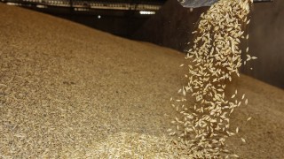 Ürdün, Cargill’den 60 Bin Ton Arpa Satın Aldı