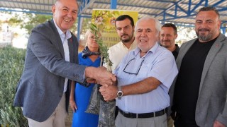 Alanya Belediyesi, Aliefendi’de 3.400 Zeytin Fidanı Dağıttı