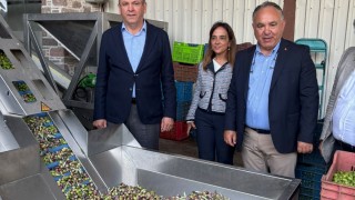 Ayvalık Ticaret Odası: Zeytinyağı ihracatında markalaşma şart
