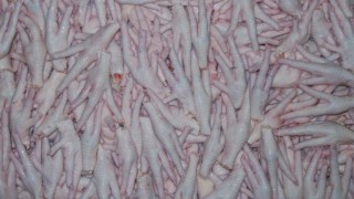 Bakan Yumaklı, Çin’e tavuk ayağı ihracatının yeniden başlaması için girişimde bulundu