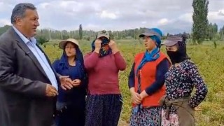 CHP’li Gürer: Kadın çiftçiler güvencesiz çalışıyor