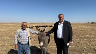 CHP’li Gürer: Türkiye’de hayvancılık sorunlu, ithalat çözüm olmadı