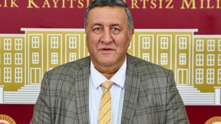 CHP’li Gürer’den Bakanlığa çağrı: Pestisitli ürünlerin sonuçlarını açıklayın
