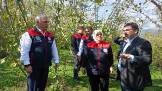 Düzce’de Kahverengi Kokarcayla Mücadele Çalışmaları Değerlendirildi