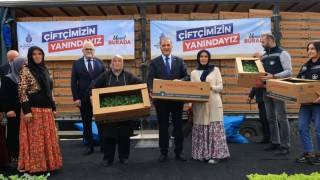 İBB, İstanbul’daki çiftçilere ücretsiz arı yemi ve fide desteğini sürdürüyor