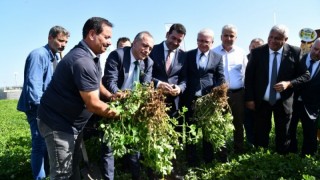 Osmaniye’de Yerfıstığı Festivali Tanıtım Toplantısı Yapıldı