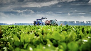 Tarım ve Orman Bakanlığı, çiftçilere 306 milyon liralık destek ödemesi yaptı