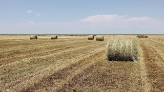 Ali Çandır: Eylül Tarım-GFE artışı üretici maliyetini etkiledi