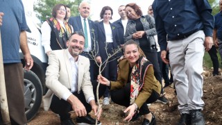 Antalya Büyükşehir Belediyesi Manavgat’ta zeytin festivali düzenledi