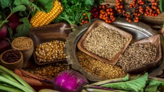 Aydın Büyükşehir Belediyesi Karpuzlu’da Ata Tohumu fidesi dağıttı