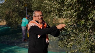 Ayvalık Belediye Başkanı Ergin Dünya Zeytin Ağacı Günü’nü kutladı