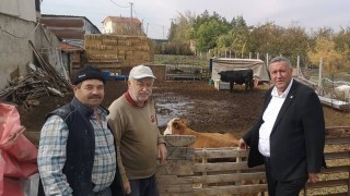 CHP Gürer: "Hayvancılık Bırakılıyor; Yem Zamları Girdileri %100 Artırdı"