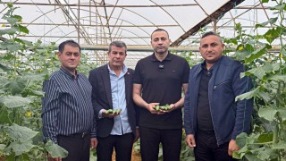 CHP’li Aykut Kaya: Antalya’daki salatalık üreticisi maliyetin üçte birine satıyor