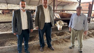 CHP’li Gürer: Hayvancılıkta Kriz Derinleşiyor