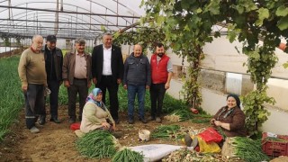 CHP’li Gürer: “Üretici kazanamıyor, tüketici pahalıya ürün alıyor”