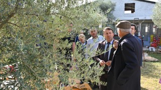 Denizli Tarım İl Müdürlüğü Zeytin Tarla Okulunu Tavas’ta Tamamladı