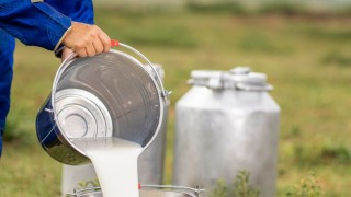 Ediz Ün: Şap Hastalığı Süt Üretimini Çökertti