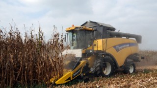 Ediz Ün’den TMO Kararına Eleştiri: “Yetki Güncellemesi Değil, İthalatın Alışkanlık Haline Getirilmesidir”