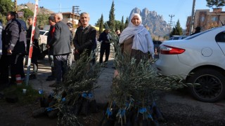 Eskişehir Büyükşehir’den üreticiye zeytin fidanı desteği