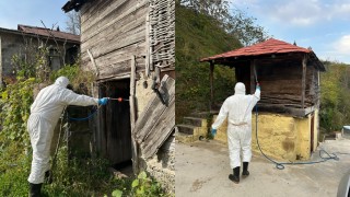 Giresun Tarım Müdürlüğü Kokarca Mücadelesi İçin Uyarıda Bulundu