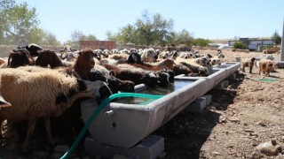 Mardin Büyükşehir Belediyesi kırsalda 330 sıvat yerleştirdi