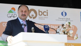 Şanlıurfa Büyükşehir Belediyesi sürdürülebilir pamuk üretimini destekliyor
