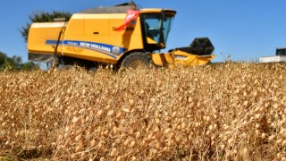 Ticaret Bakanlığı Nohut İthalatındaki Gözetim Tebliğini Kaldırdı