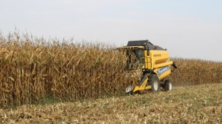 TMO’dan “arpa ve mısır ithalatı” kararına ilişkin açıklama: Yeni bir ithalat kararı yok