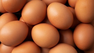 TÜİK: Eylül 2025’te tavuk eti üretimi arttı, yumurta azaldı