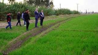 Adana İl Tarım buğday ekim alanlarında inceleme yaptı