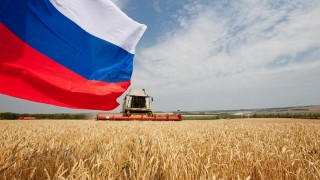 Agroexport: Rus buğdayı Orta Doğu’da konumunu koruyor