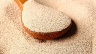 Agroexport: Rusya 2025’te Maya İhracatında Rekora Gidiyor