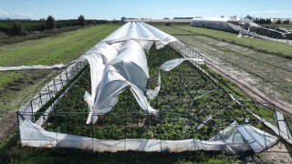 Antalya Büyükşehir, Manavgat’taki hortum sonrası seralarda hasarı inceledi