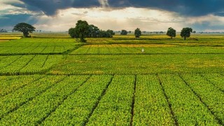 Bakan Yumaklı: 1 milyar 46 milyon TL destek bugün çiftçilere aktarılıyor