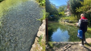 Bolu İl Tarım ve Orman Müdürlüğü Mudurnu’da su ürünlerini denetledi