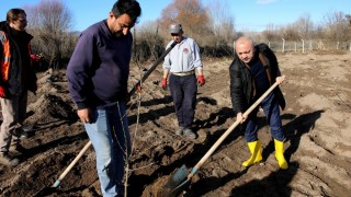 Çankırı Belediyesi 550 Kızılcık Ağacını Toprakla Buluşturdu
