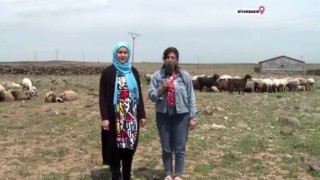 Diyarbakır’da Uzman Eller Projesi genç üreticiye destek oldu