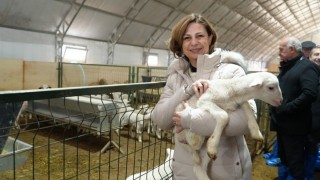 Eskişehir Büyükşehir arıcılık ve hayvancılık desteğini duyurdu