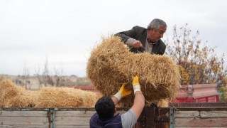 Eskişehir Büyükşehir Belediyesi Günyüzü’ndeki çiftçilere destek verdi