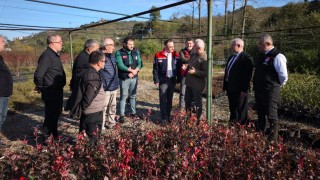 Giresun İl Tarım Müdürlüğü maviyemiş fidanı dağıttı