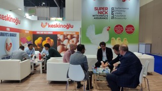 Keskinoğlu, Abu Dhabi’de VIV MEA 2025’te damızlıklarını tanıttı