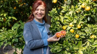 Mersinden Kadın Kooperatifi Mersin Kan Portakalına Coğrafi İşaret Aldı