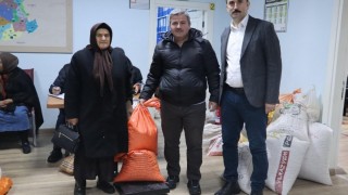 Ordu Büyükşehir Belediyesi Gürgentepe’de çoban fasulyesi alımı yaptı