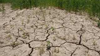 Rusya Gossovet’i çölleşmeyle mücadeleyi ulusal projeye almayı önerdi