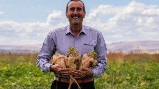 Safi Çorum Şeker 2025-2026 Sezon Verilerini Paylaştı