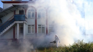 Samsun İl Tarım: Kahverengi Kokarca Kışlak Mücadelesi Sürüyor