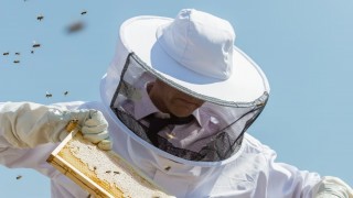 Tekirdağ Büyükşehir Belediyesi arıcılık malzeme desteği başlattı